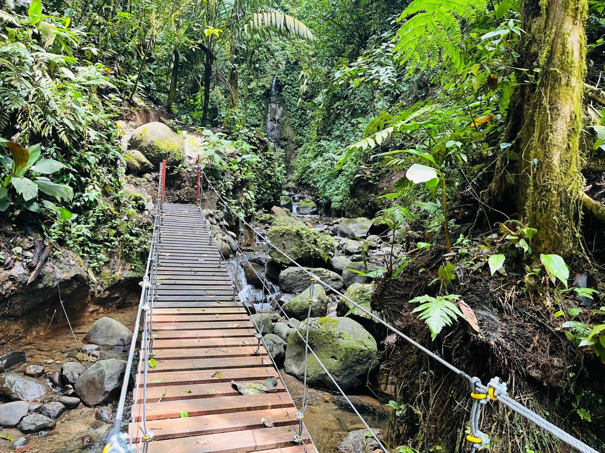 Wellness Park Cr Villa La Fortuna Eksteriør bilde