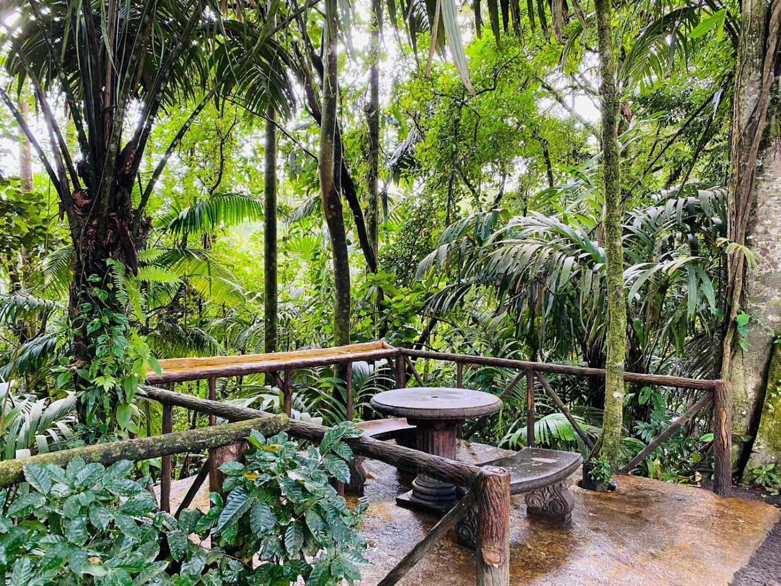 Wellness Park Cr Villa La Fortuna Eksteriør bilde