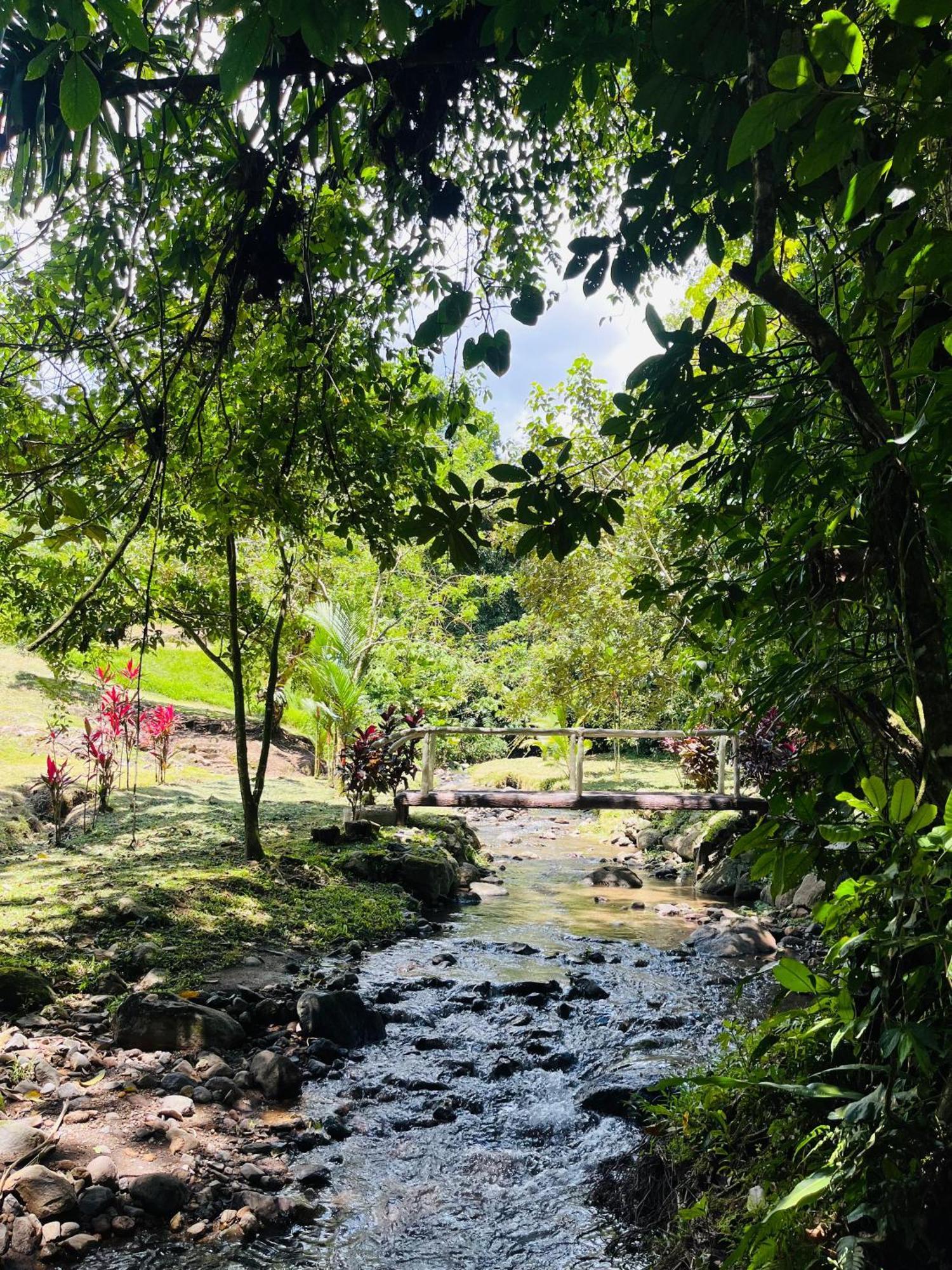 Wellness Park Cr Villa La Fortuna Eksteriør bilde